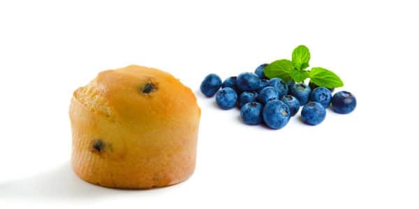 muffin-santé-bleuets