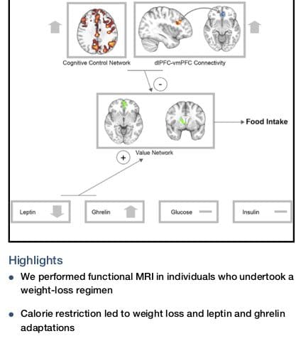 Neurocognitive and Hormonal